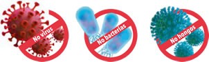 bacterias