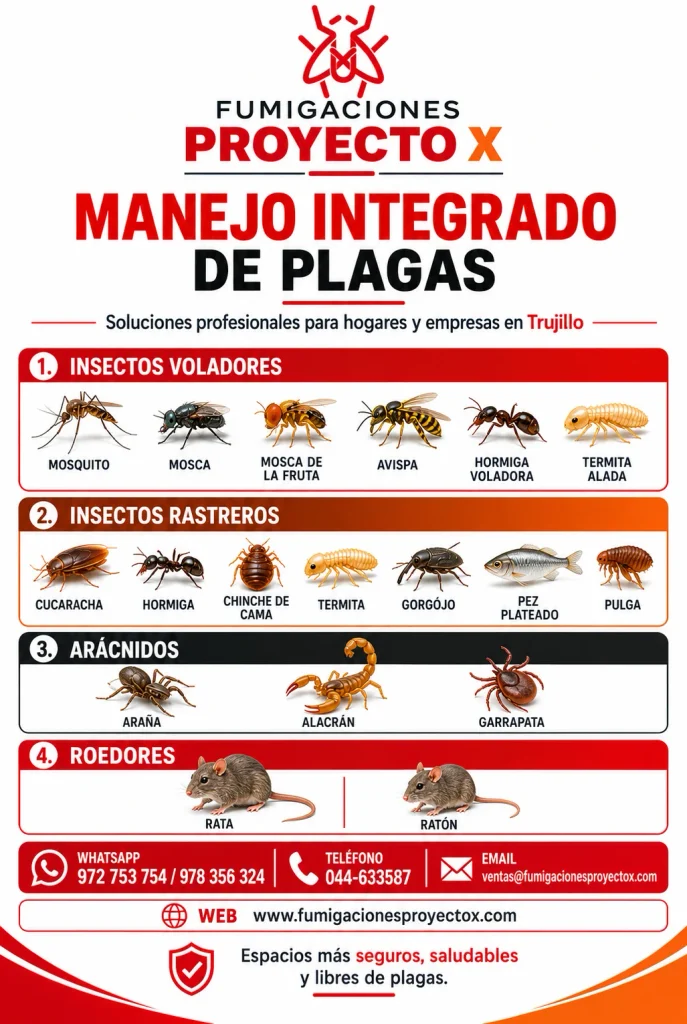 Fumigación en Trujillo